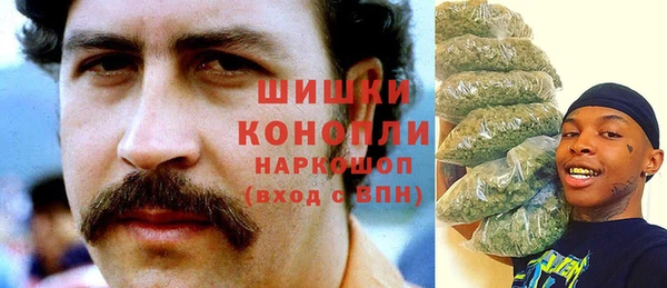 эйфоретик Белокуриха