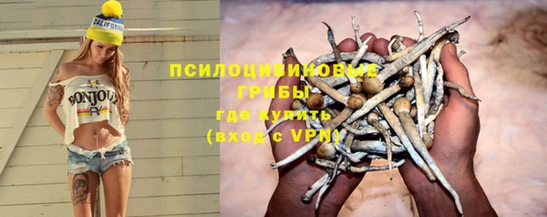 apvp Белоозёрский