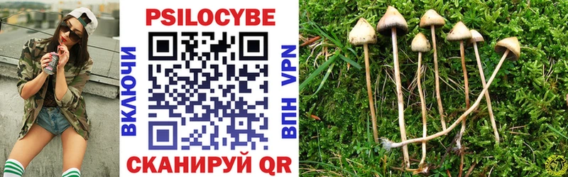 дарк нет какой сайт  как найти наркотики  мега сайт  Железноводск  Галлюциногенные грибы Psilocybe 